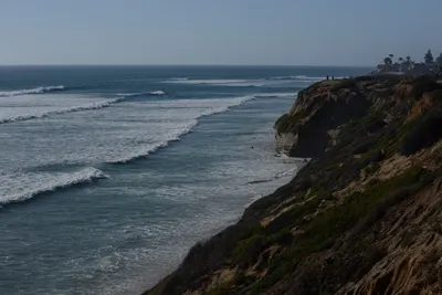 DSC_6978 (Large).JPG